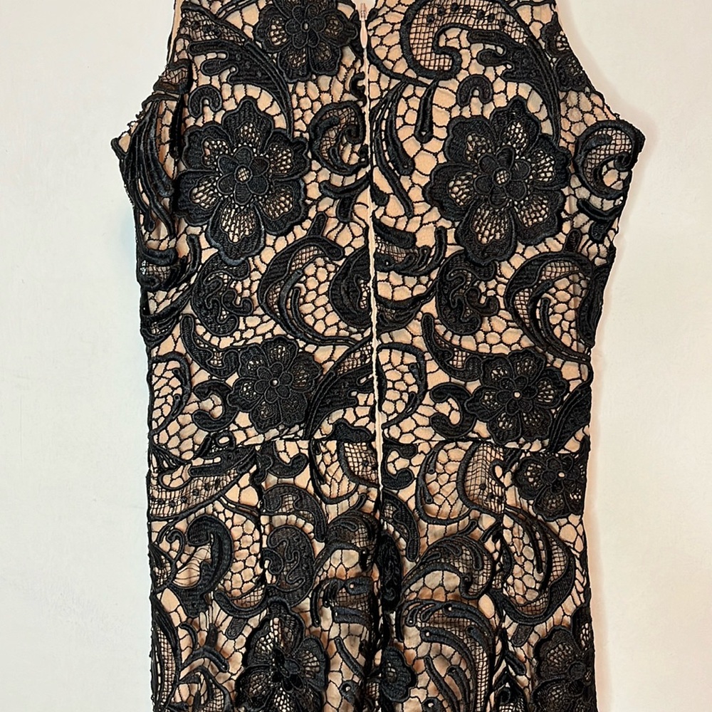 Dress the Population Sophia lace mermaid gown - Picture 10 of 15